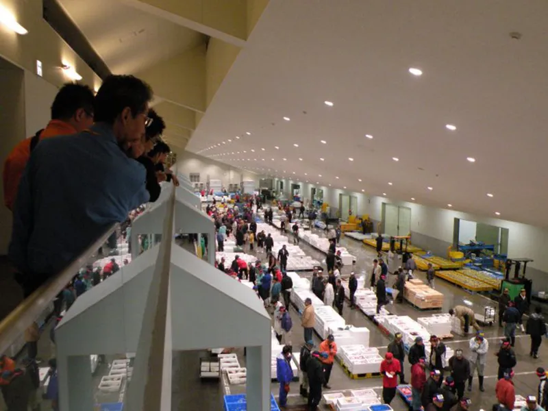 【①セリ見学&港の朝食】