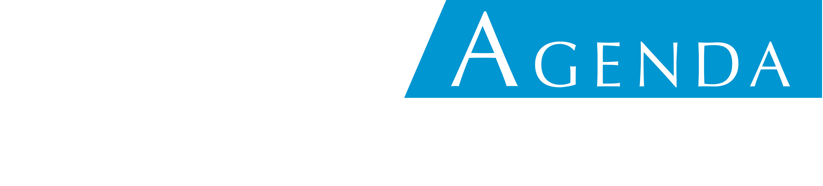 Marketing Agenda